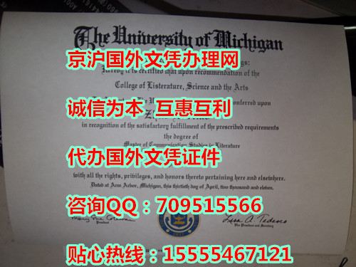 美国密歇根大学毕业证实物样本