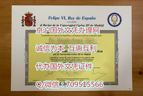马德里卡洛斯三世大学毕业证2020_副本.jpg