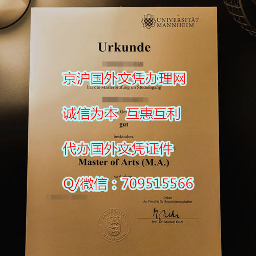 曼海姆大学毕业证_副本.jpg