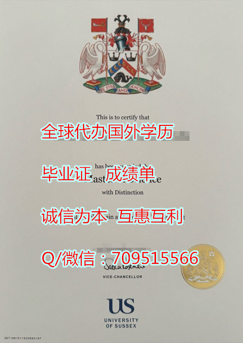 萨塞克斯大学毕业证样本,英国文凭定制流程